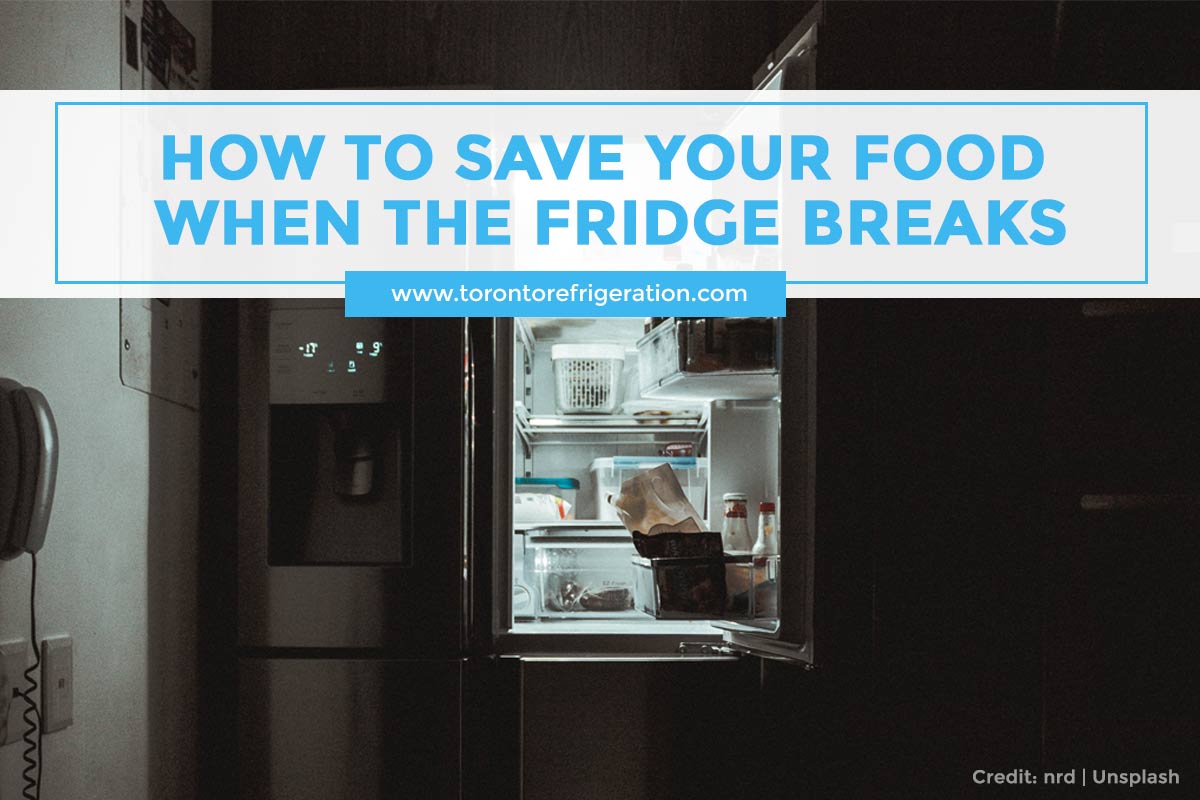 How to Save Your Food When the Fridge Breaks Toronto Appliance Repairs