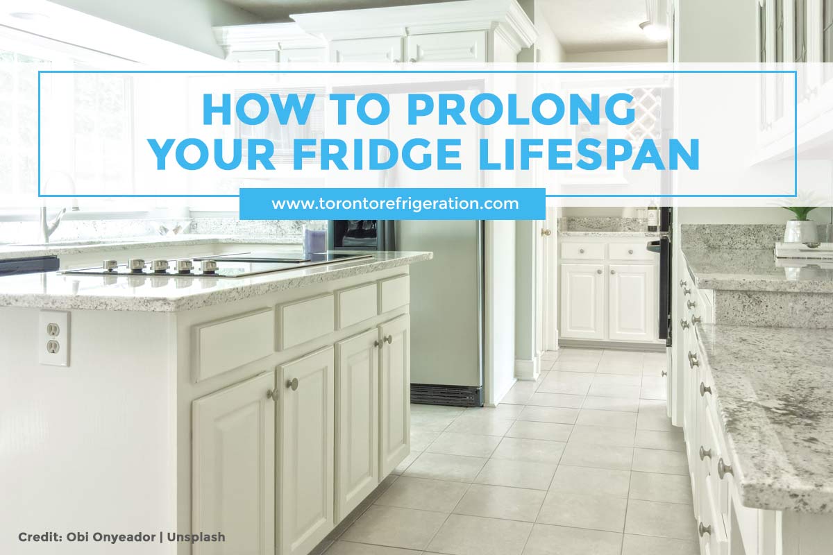 What Is The Average Refrigerator Life at Joseph Bell blog