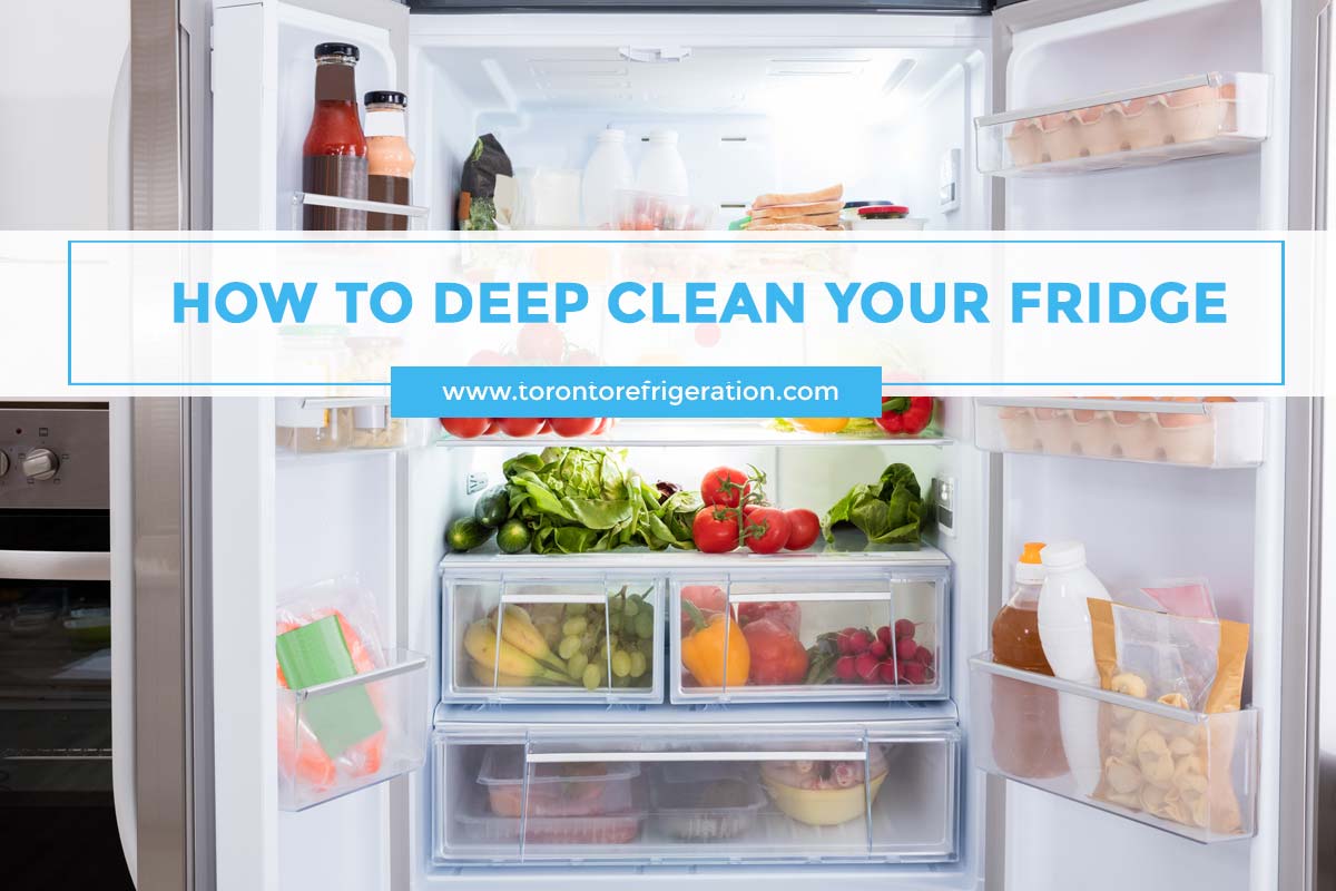 How to Deep Clean Your Fridge Toronto Appliance Repairs