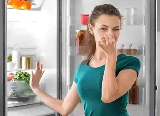 Appliance Repair